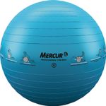 BOLA-PRO-GYM-BALL-65CM-AZUL-BC0141-65-MERCUR