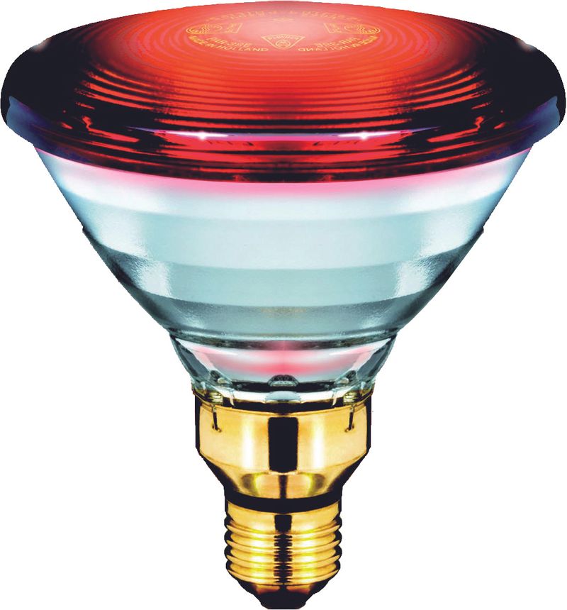 Lampada-Infravermelho-Philips-150W