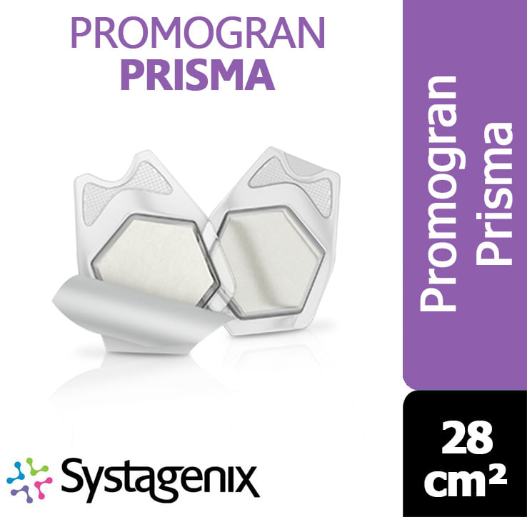 Promogran-Prisma-Systagenix-28cm²